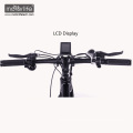 48V1000W Bafang Mid Drive neues Design Fett elektrisches Fahrrad mit versteckter Batterie